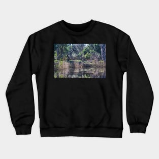 Pond Refelctions Crewneck Sweatshirt